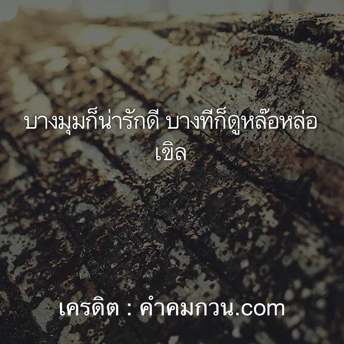 แคปชั่นเสี่ยวบางมุมก็น่ารักดี บางทีก็ดูหล๊อหล่อ เขิล – แคปชั่นเสี่ยว
